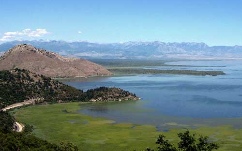 Lago Skadar