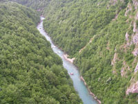 Río Tara